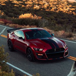 2020-ford-shelby-gt500-44.jpg