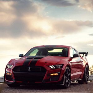 2020-ford-shelby-gt500-47.jpg