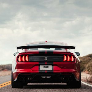 2020-ford-shelby-gt500-15.jpg